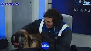 descarga (1)