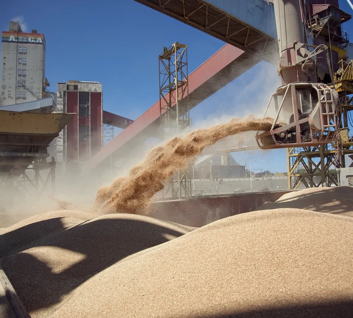 la-cadena-agroindustrial-que-estuvo-al-tope-los-ingresos-fue-el-complejo-soja