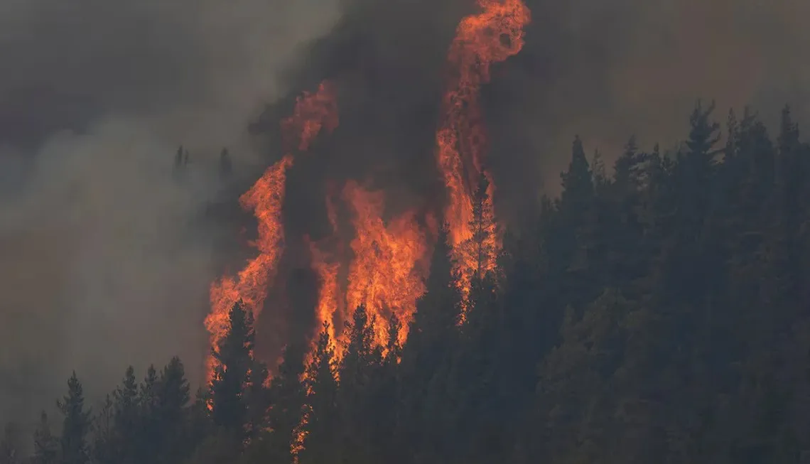 fuego