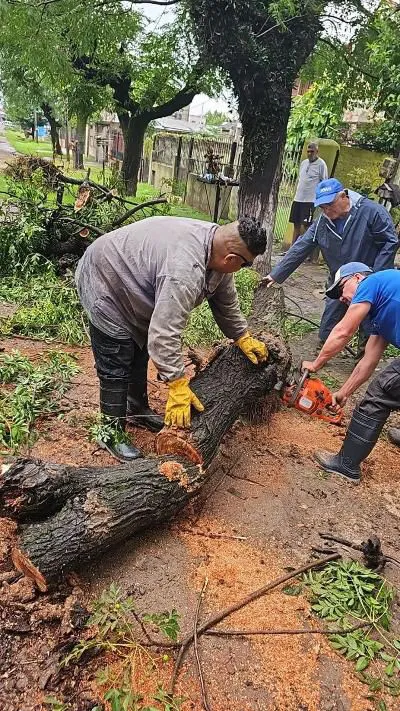 PHOTO-2025-03-09-00-18-01